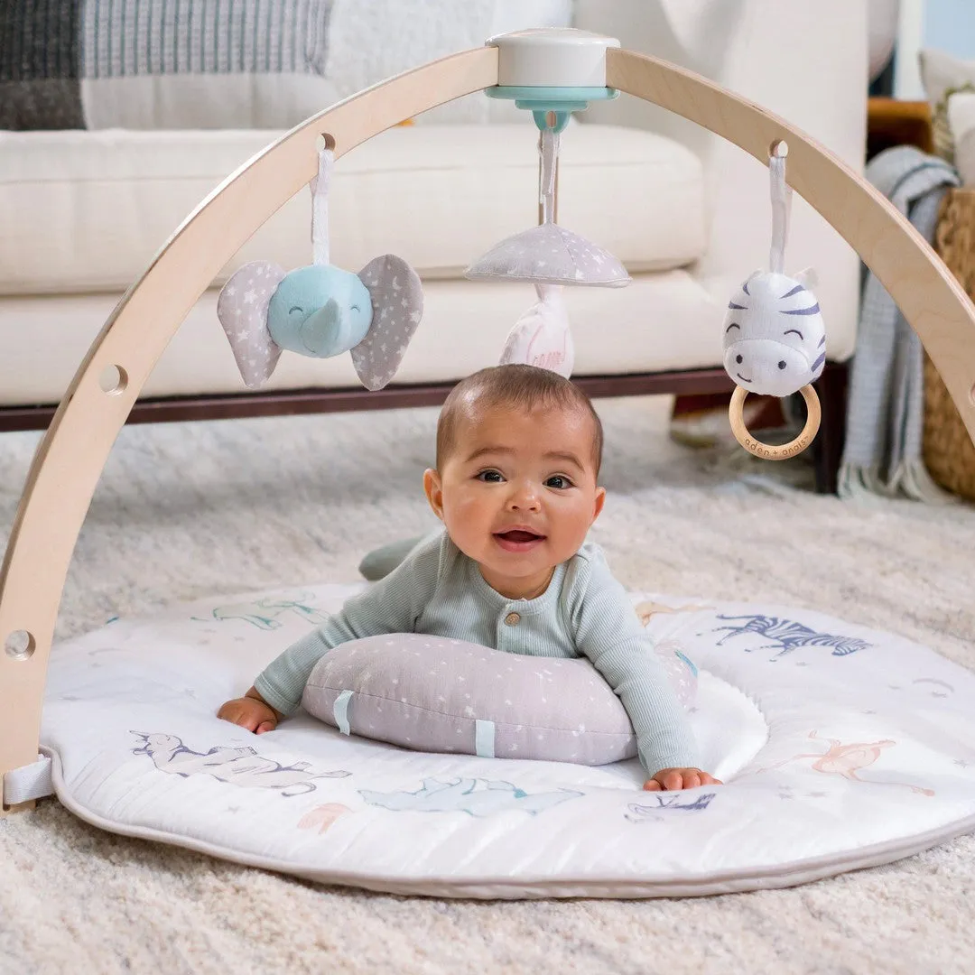 aden   anais Play   Discover Activity Gym - Rising Star