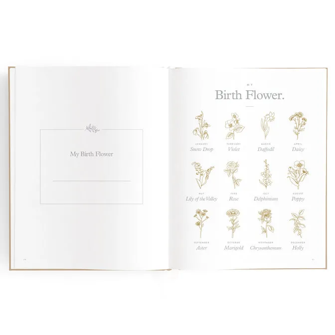 Baby Book BISCUIT