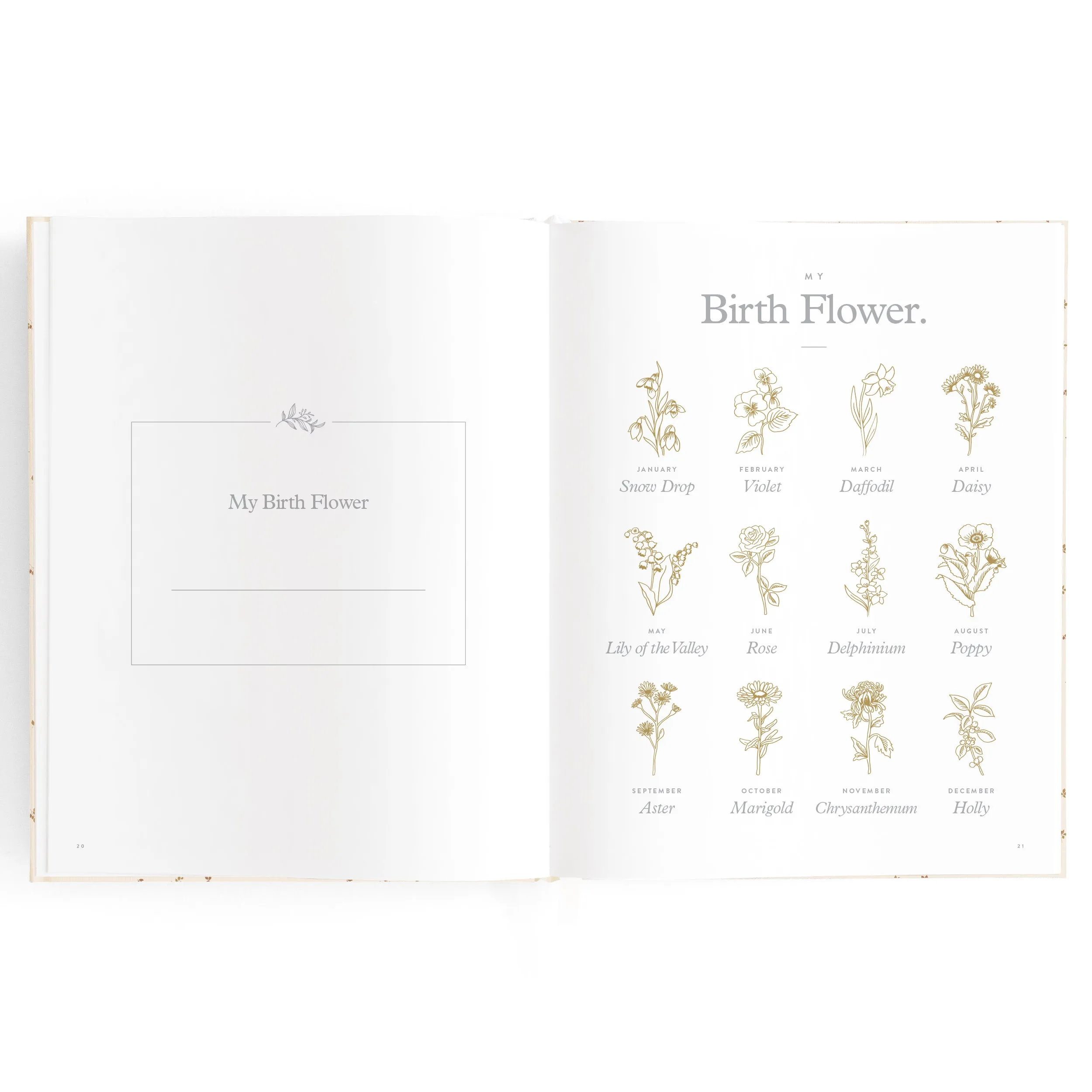 Baby Book BRODERIE
