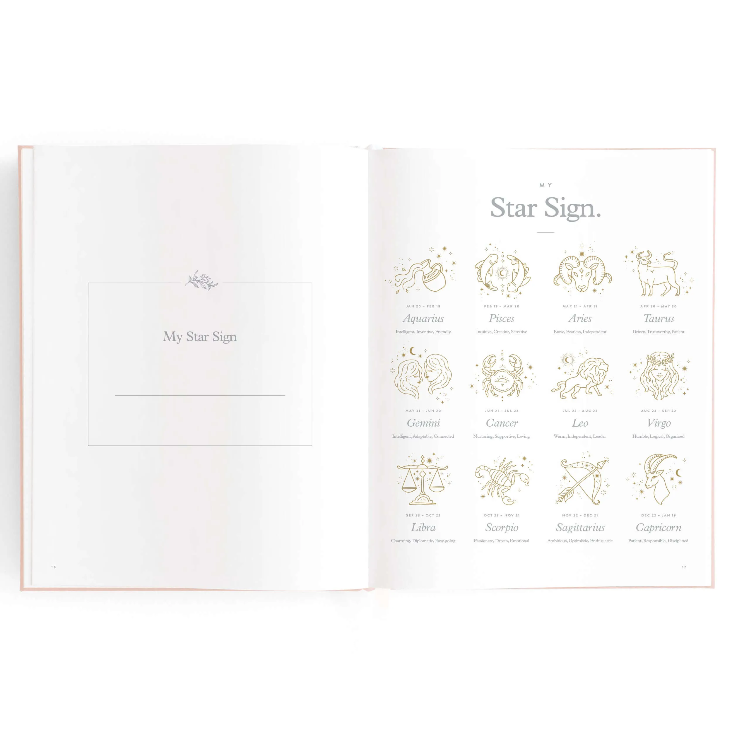 Baby Book ROSE