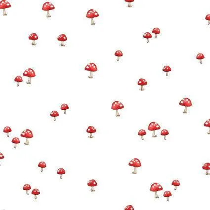 Belle and Boo Gift wrap: Mushroom Meadow