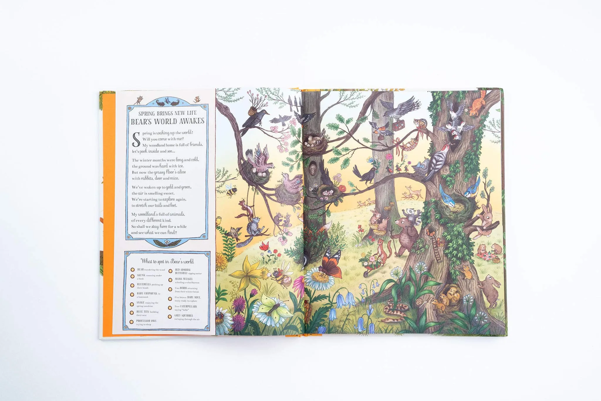 Brown Bear Wood: If You Go Down to the Woods Today | Search   Find