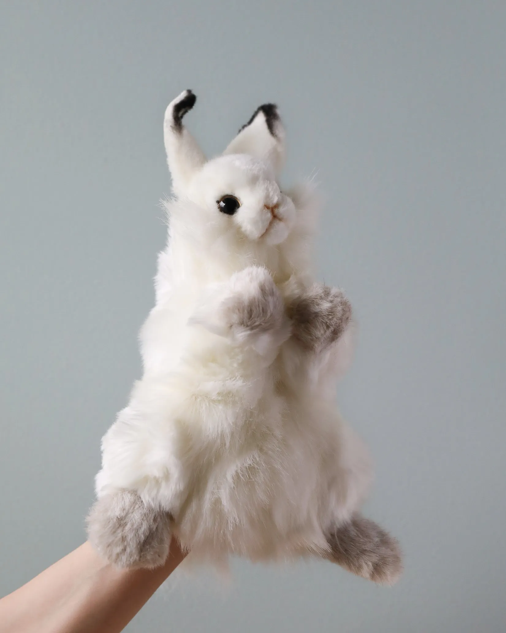 Bunny Puppet Odin Parker