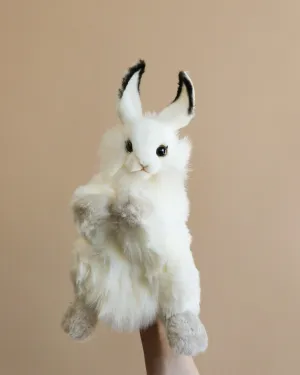 Bunny Puppet Odin Parker