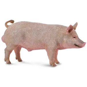 Collecta Boar (Red)