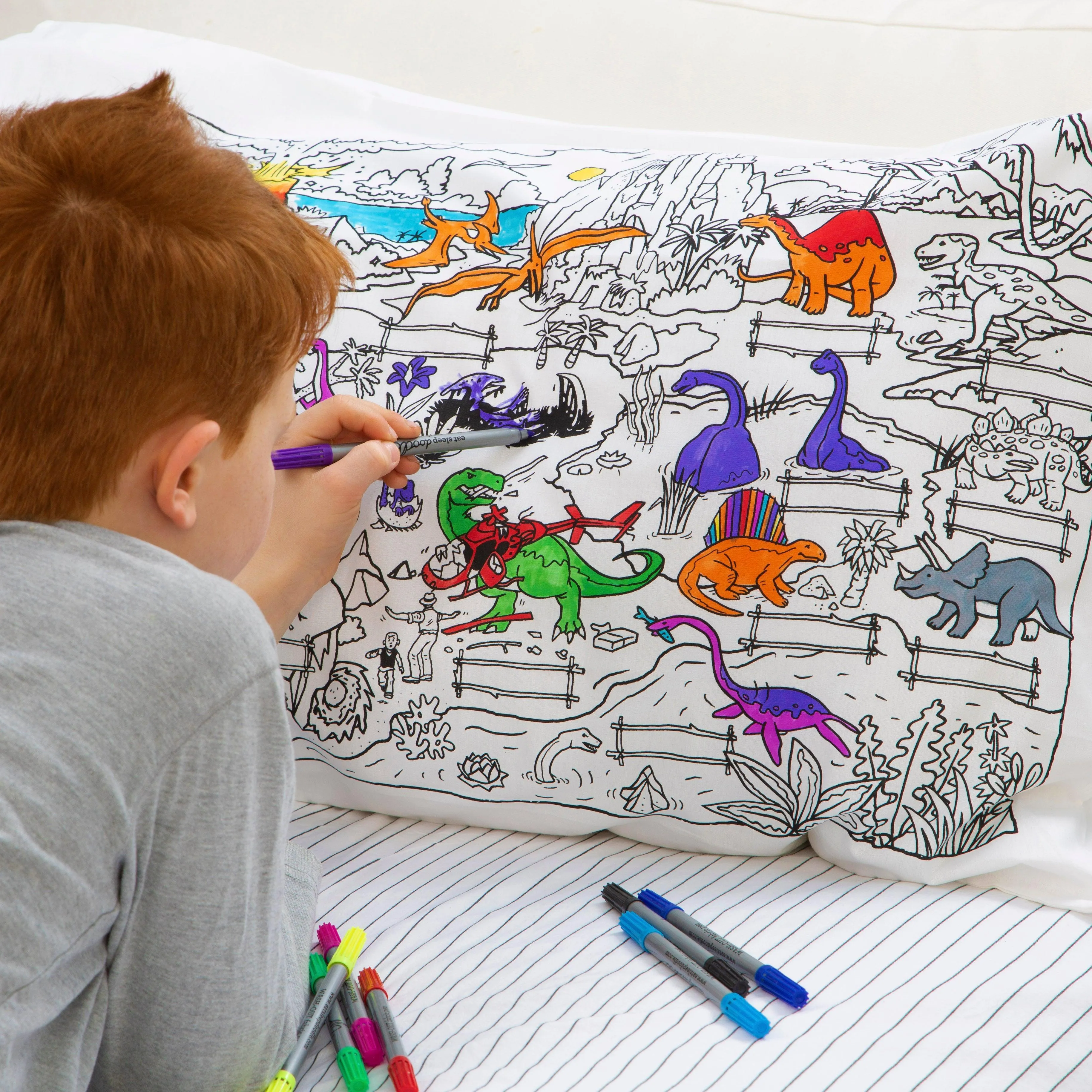 Eat Sleep Doodle Dinosaur Pillow and Ten Wash Out Pens