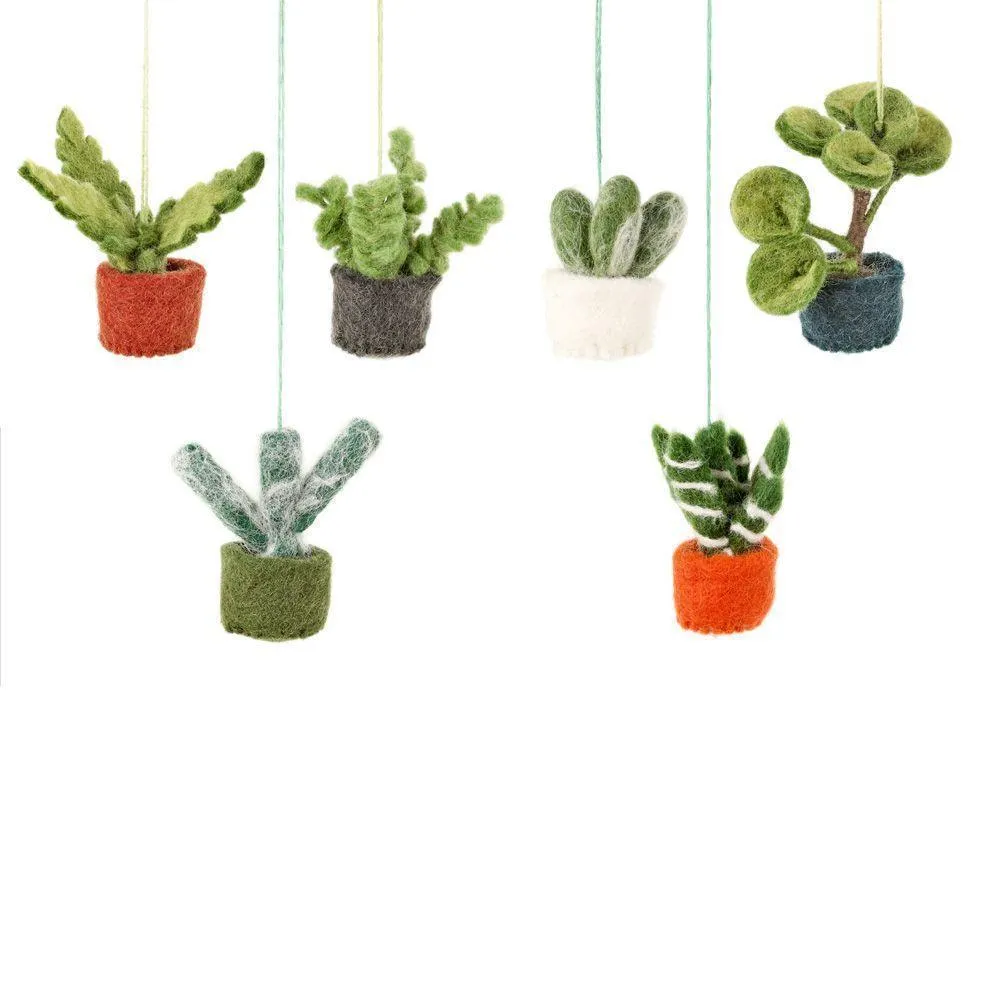 Felt Biodegradable Hanging Mini Plant: Aloe Vera - (Zebra leaf, orange base)