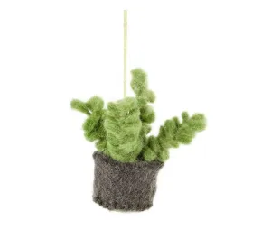 Felt Biodegradable Hanging Mini Plant : Bubble Succulent (Charcoal base with small, bubbled leaves)