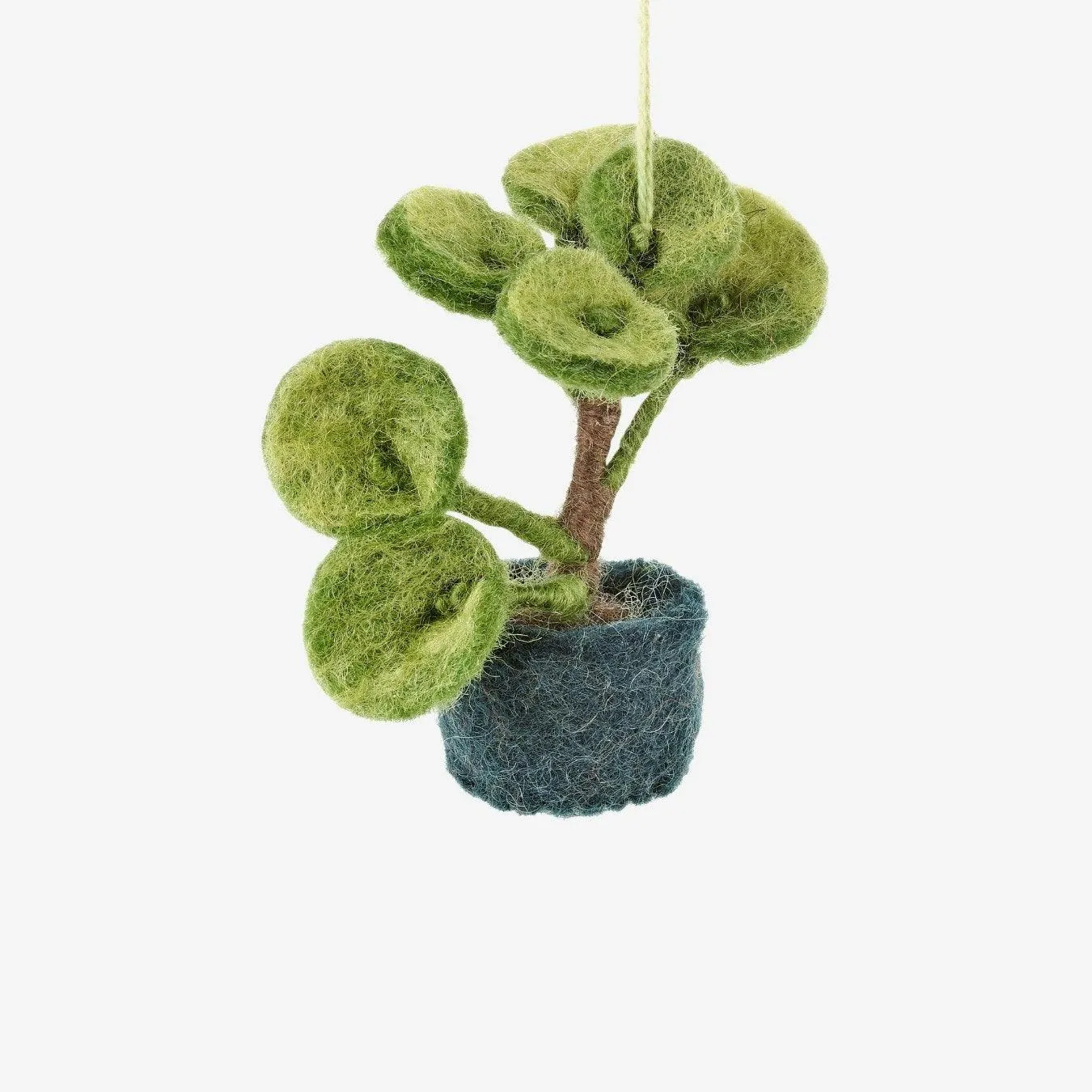 Felt Biodegradable Hanging Mini Plant: Pilea Plant (Dark Greeny Blue  Base with Round Leaves)