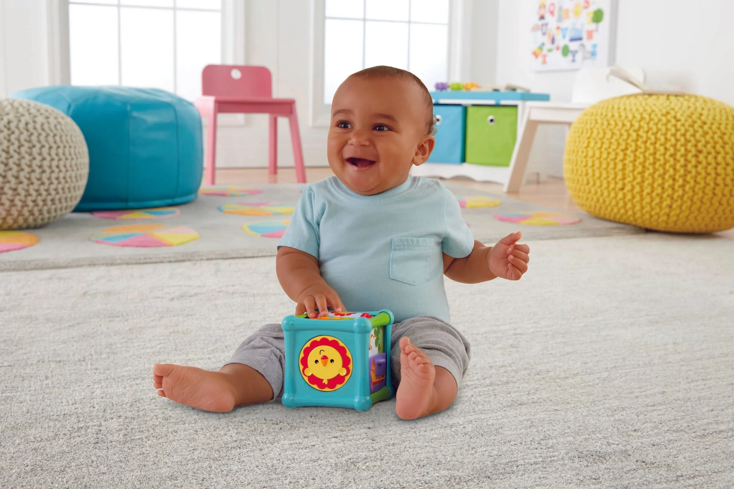 Fisher-Price Animal Activity Cube