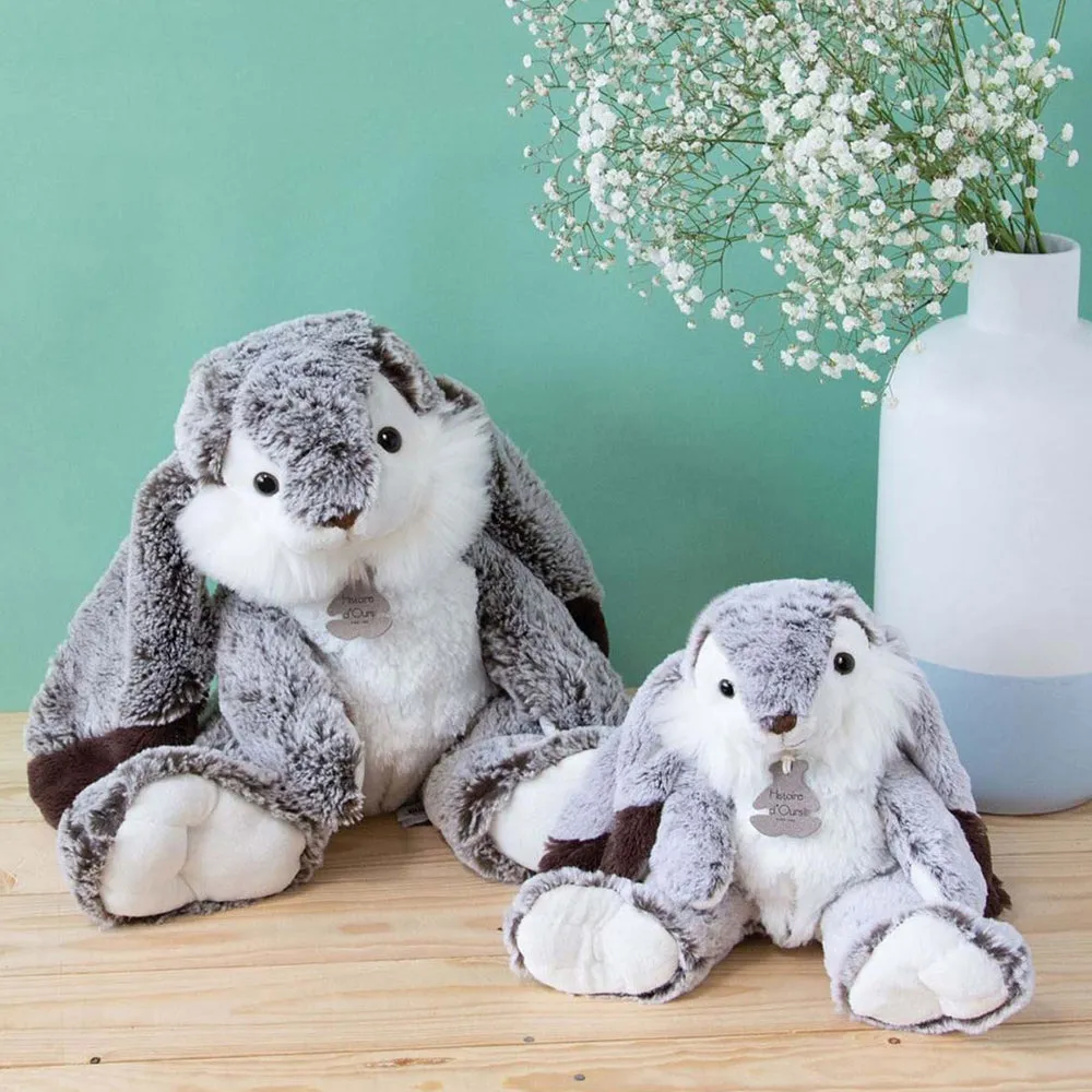 Histoire d'Ours Lapin Marius Rabbit
