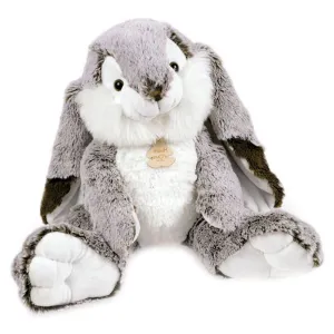 Histoire d'Ours Lapin Marius Rabbit