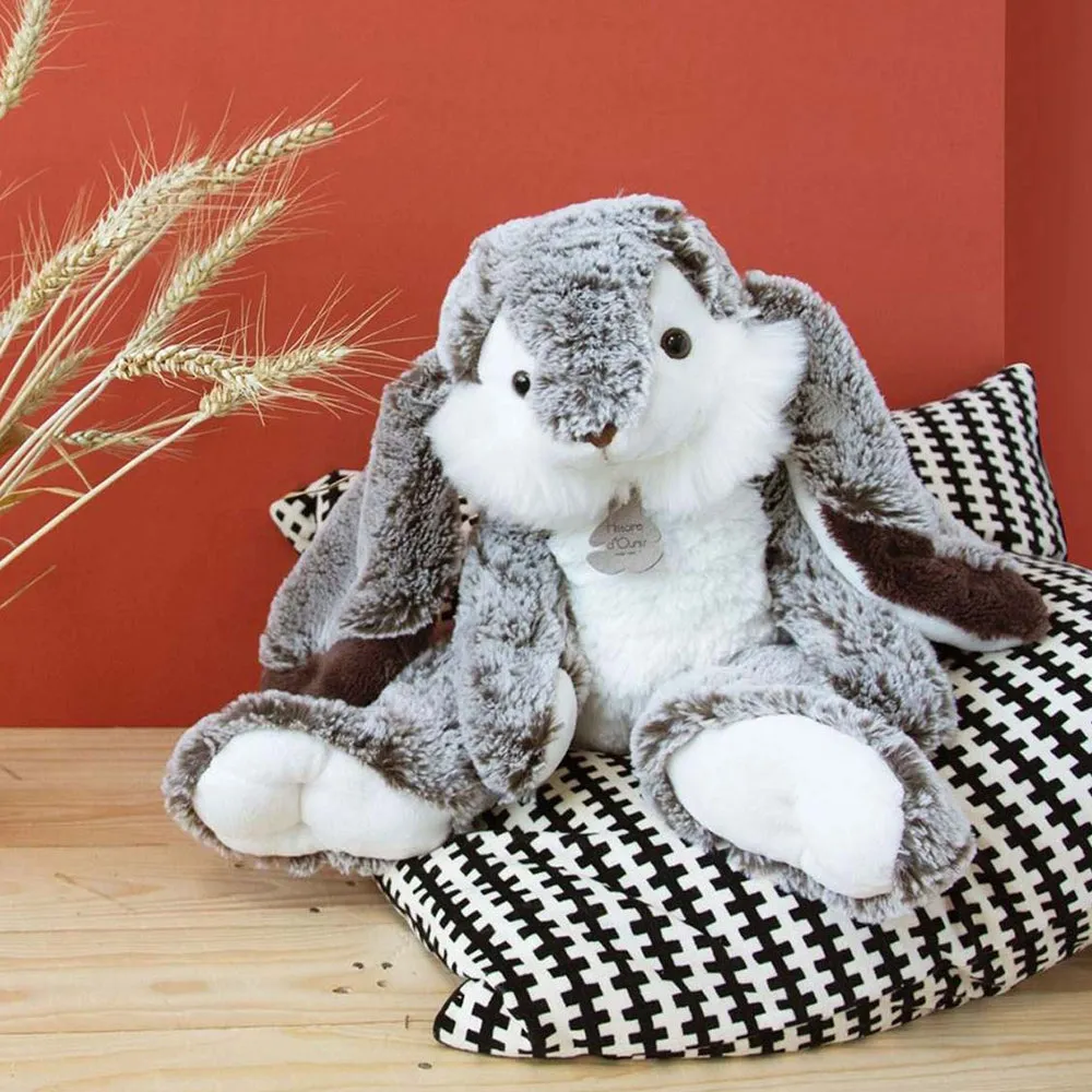 Histoire d'Ours Lapin Marius Rabbit