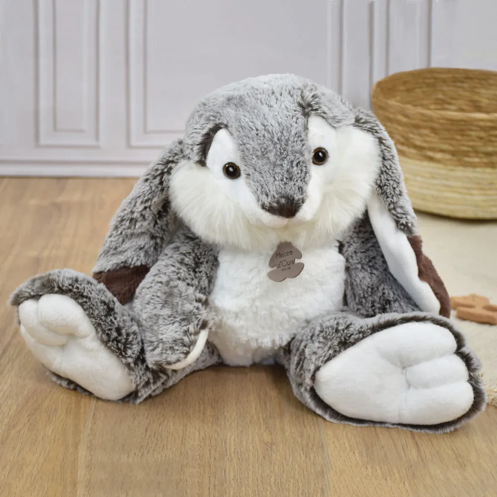 Histoire d'Ours Lapin Marius Rabbit