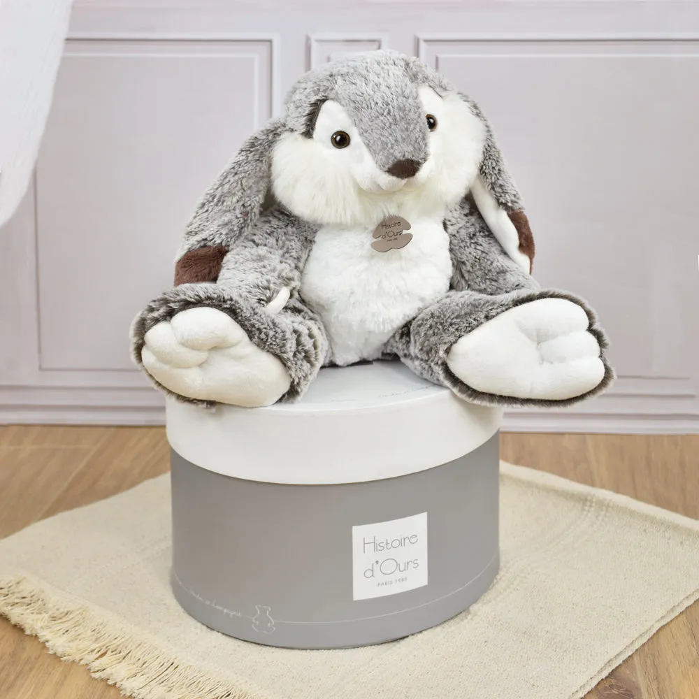 Histoire d'Ours Lapin Marius Rabbit