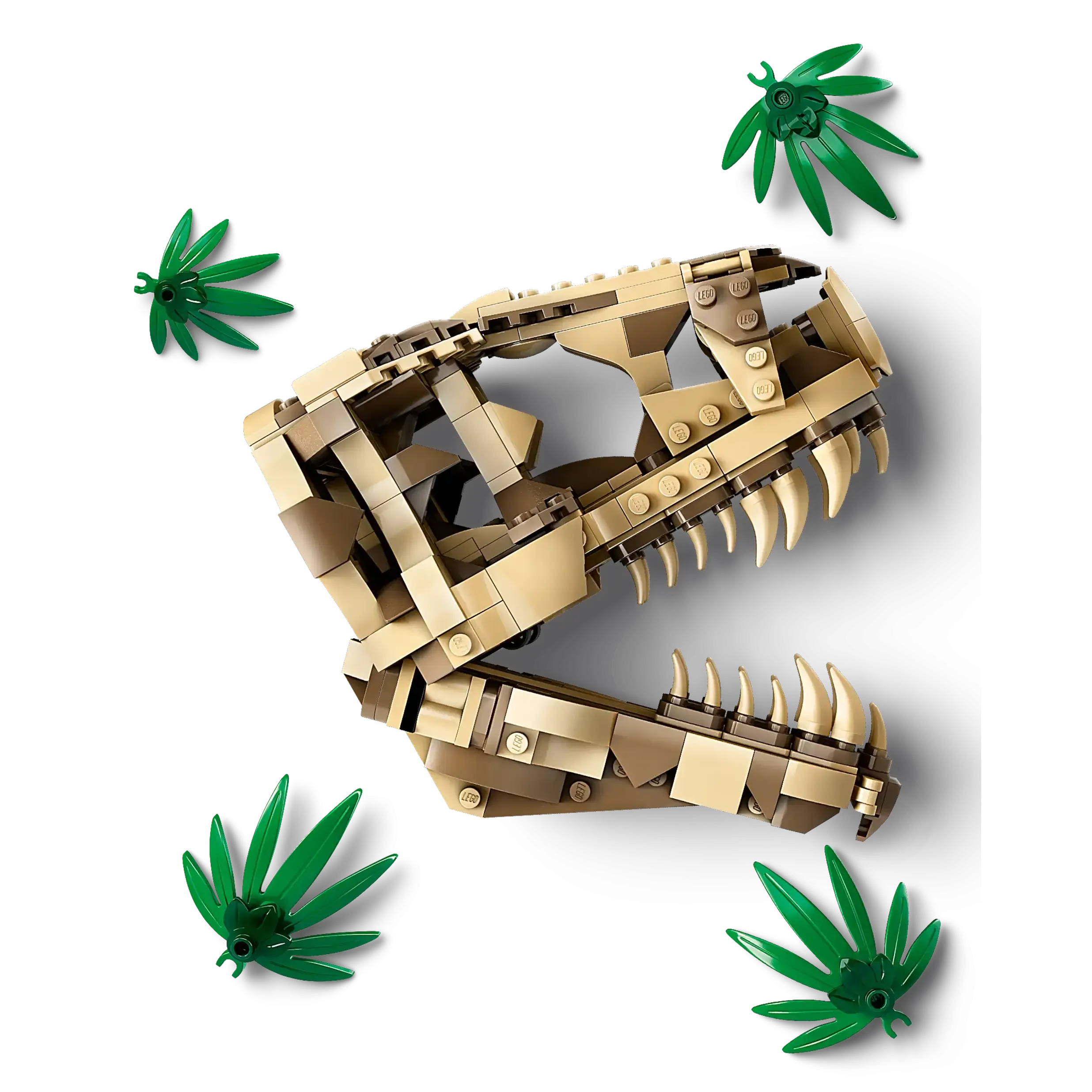LEGO JURASSIC WORLD 76964 Dinosaur Fossils T Rex Skull