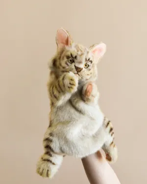 Leopard Cat Puppet Odin Parker