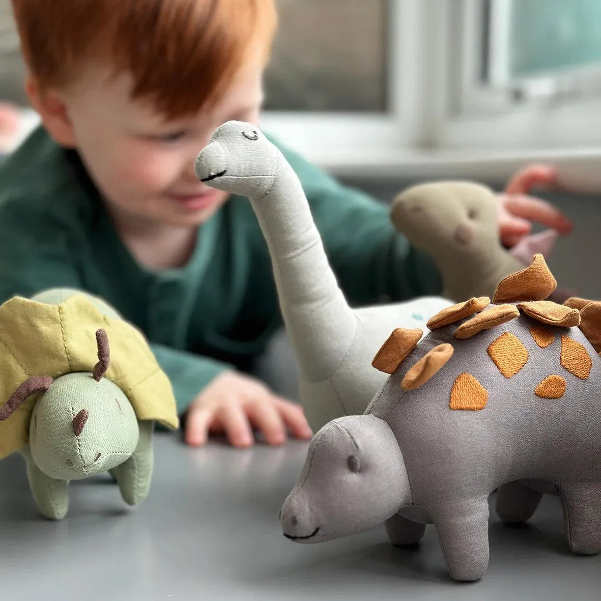 Linen Dinosaur Trike Triceratops
