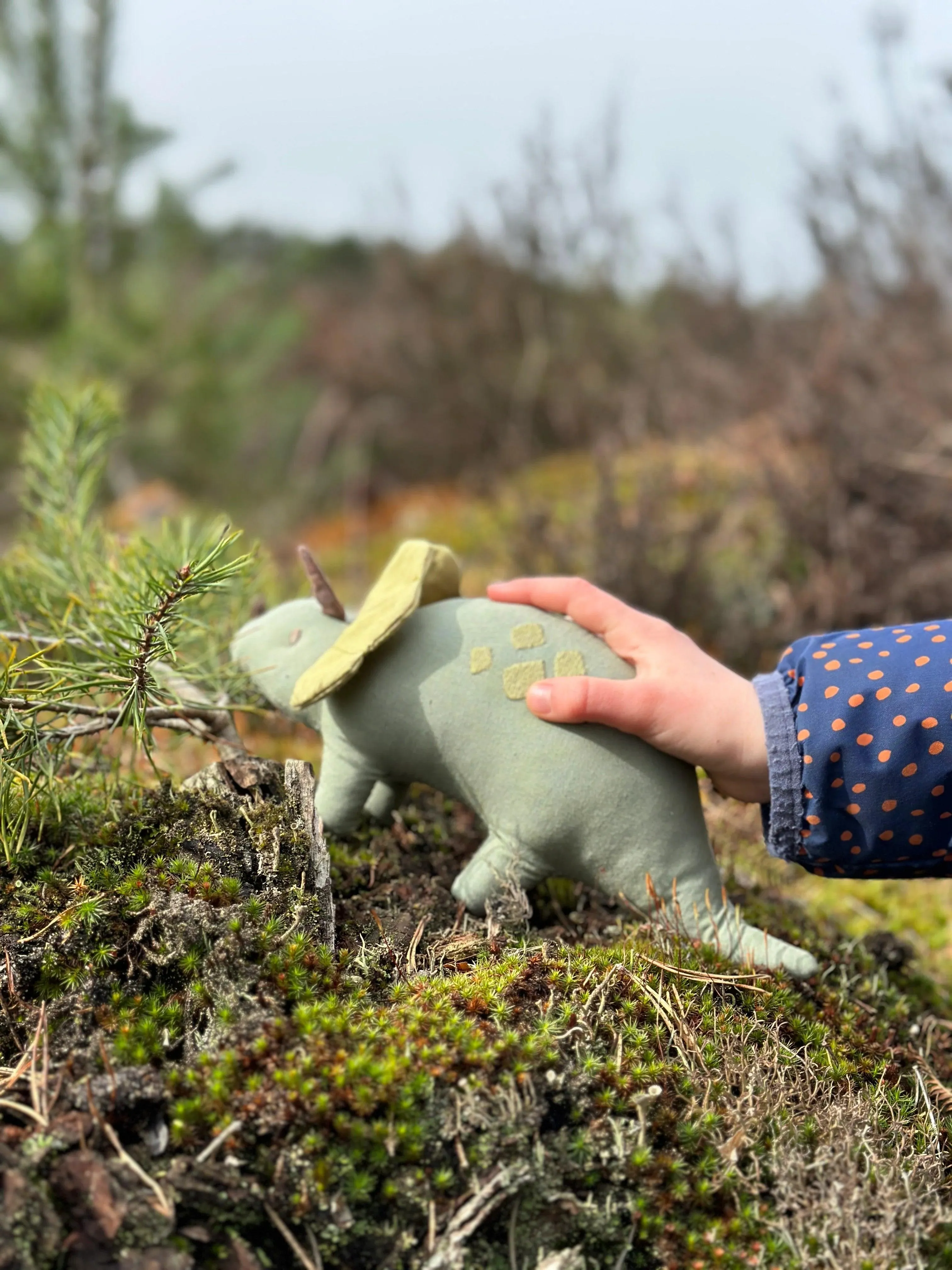 Linen Dinosaur Trike Triceratops