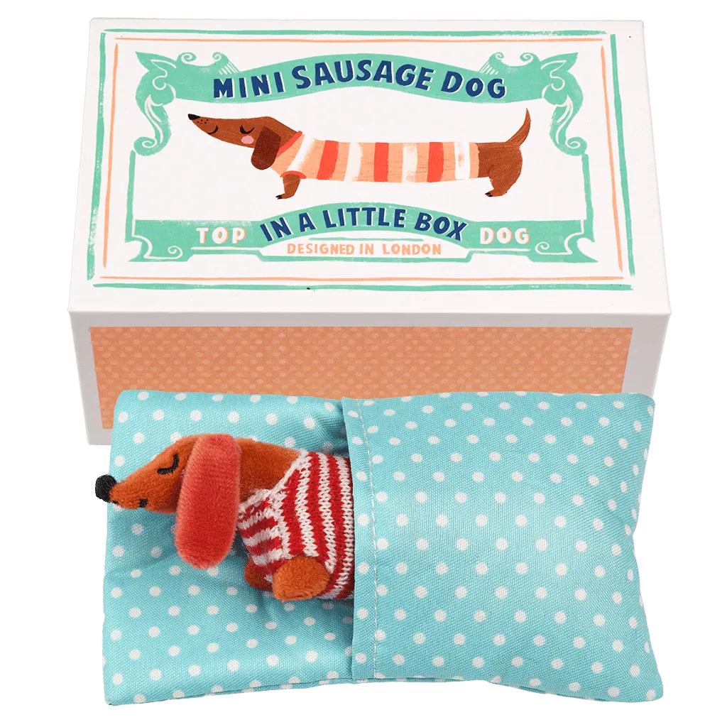 Mini Sausage Dog in Little Matchbox.