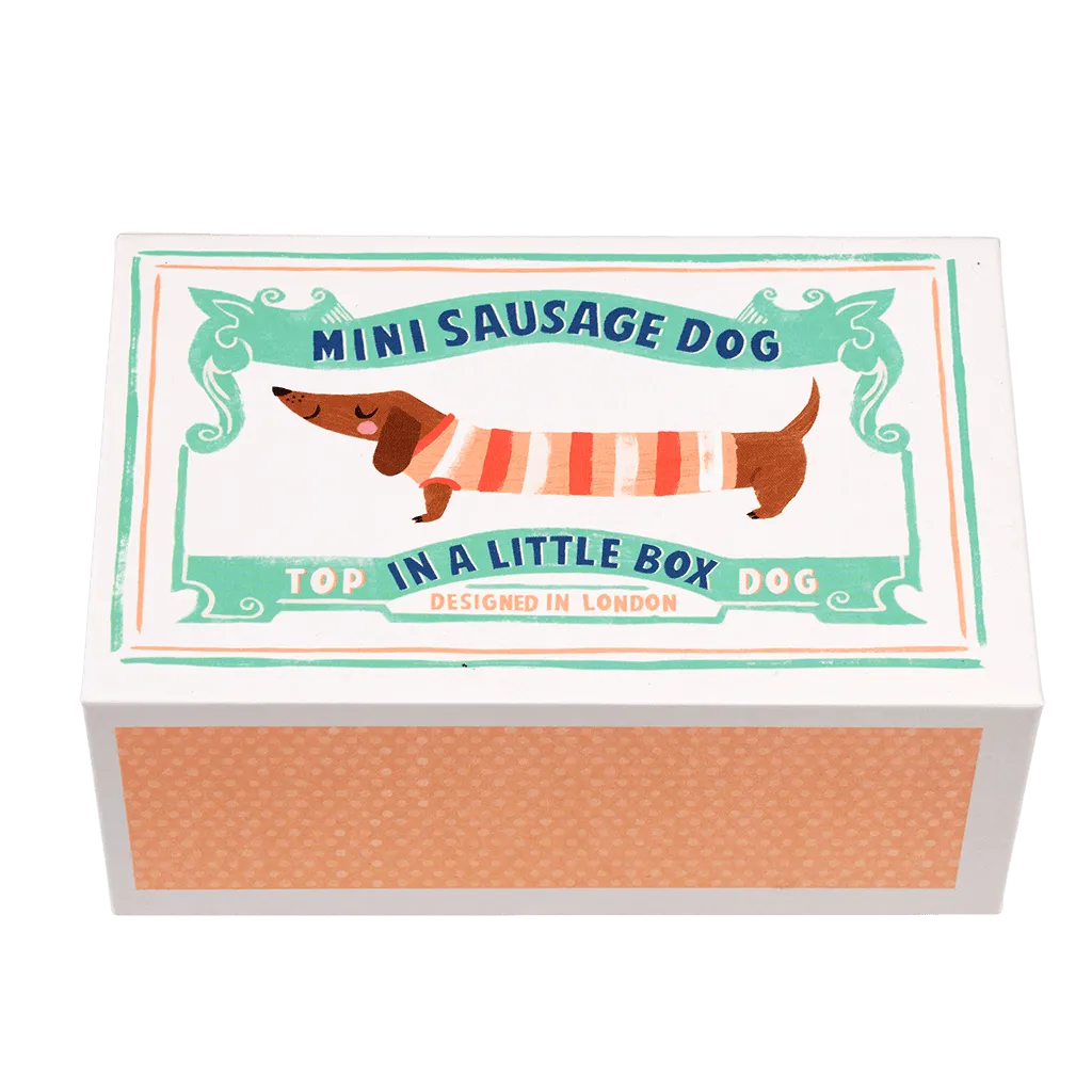 Mini Sausage Dog in Little Matchbox.