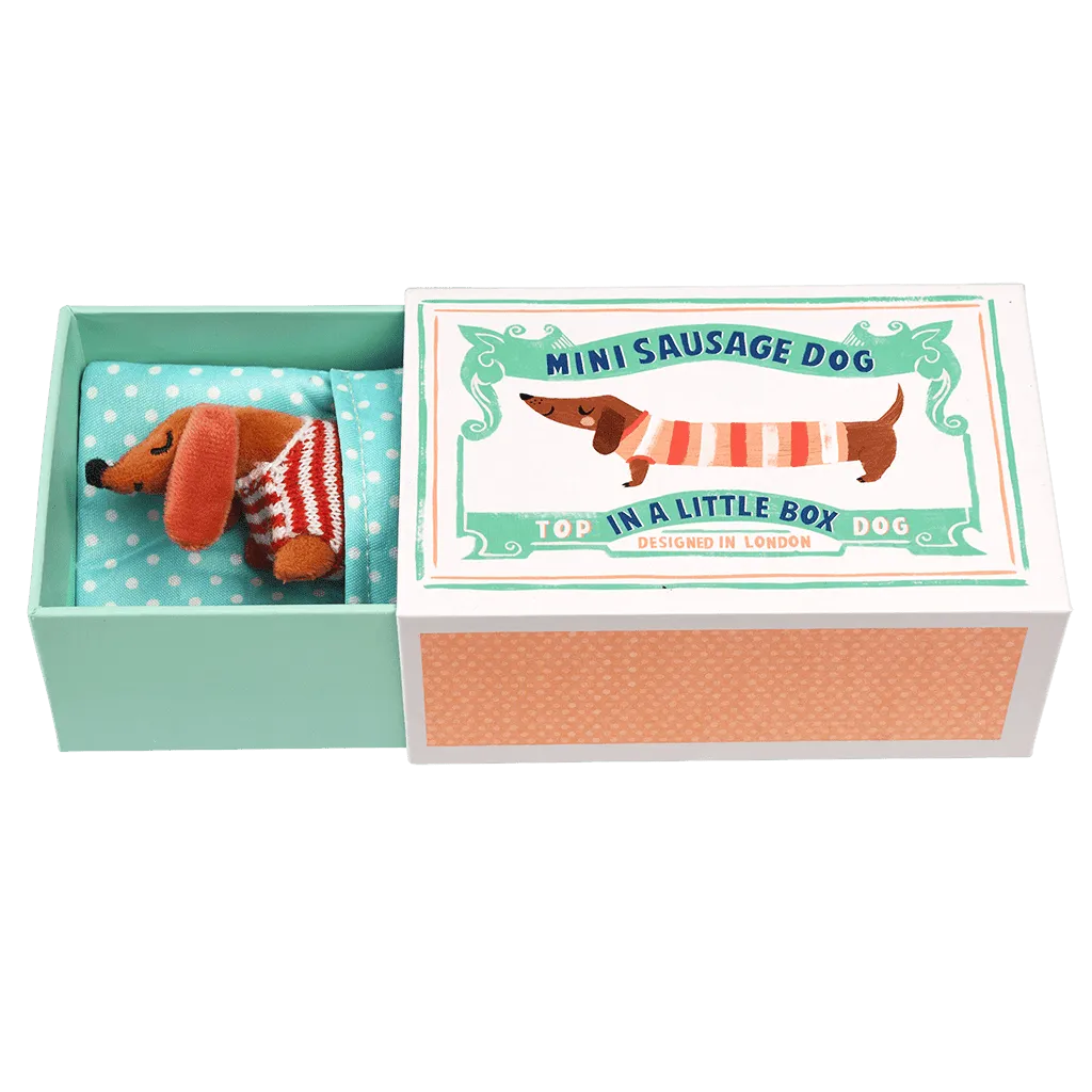Mini Sausage Dog in Little Matchbox.