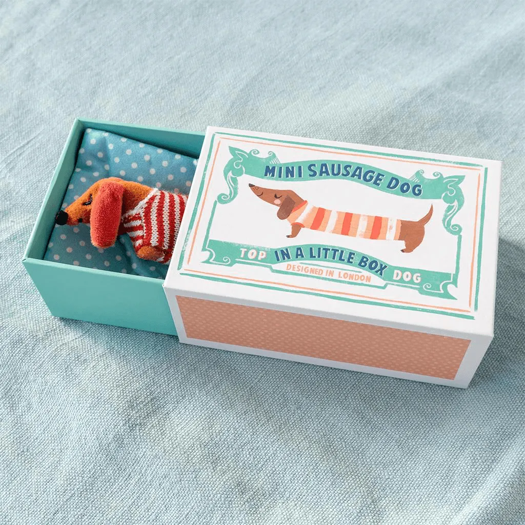 Mini Sausage Dog in Little Matchbox.