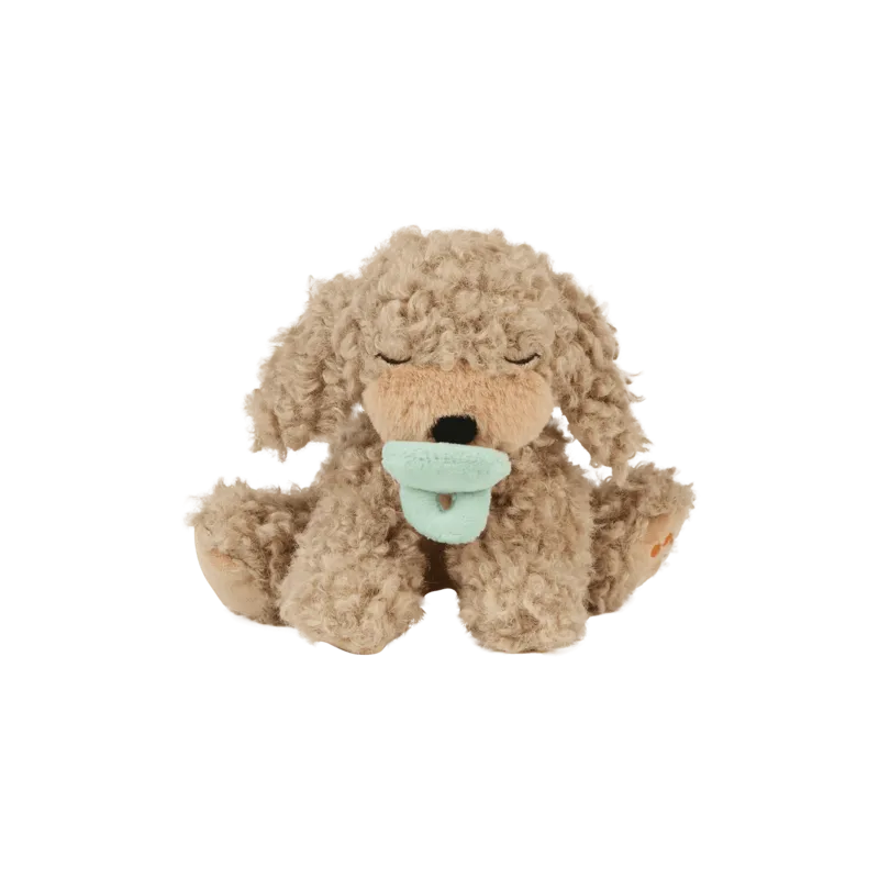 Olli & Ella Binky Puppy - Benny Gold: NEW ARRIVAL