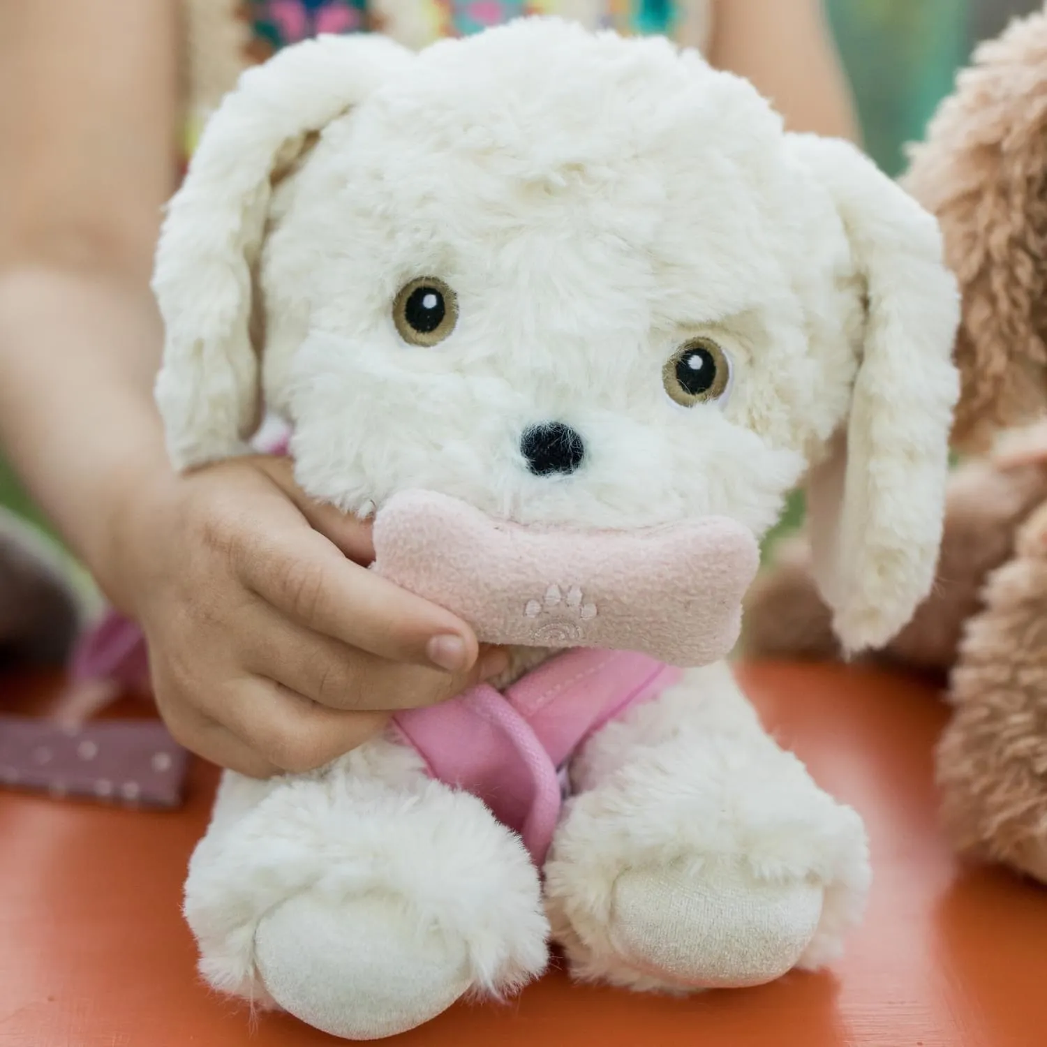 Olli & Ella Dinkum Dog Cookie LAST TWO