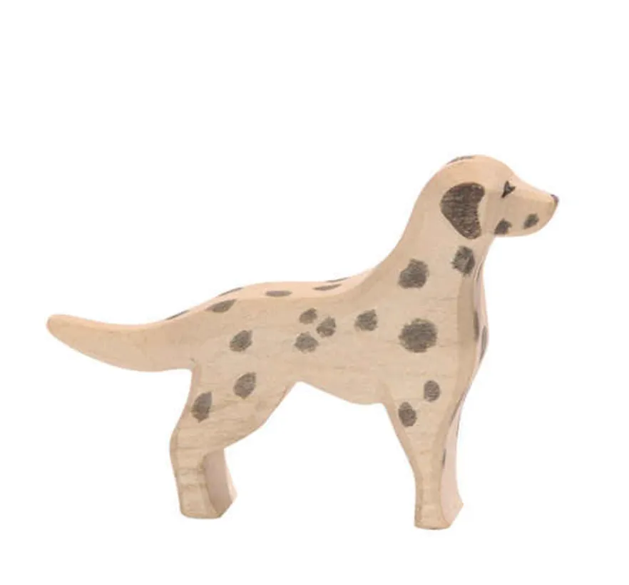 Ostheimer Dalmatian Dog Odin Parker