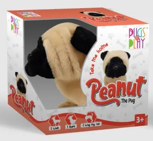 PUGS AT PLAY PEANUT THE PUG WALKING DOG
