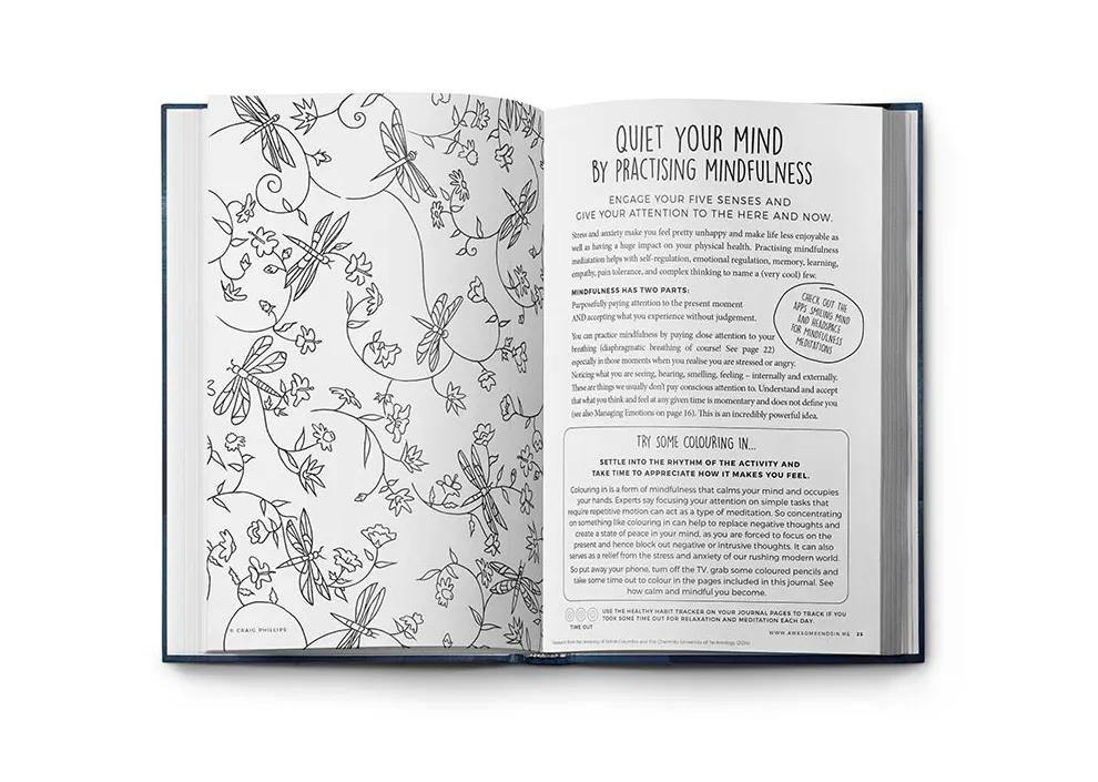 Resilient ME Gratitude Journal for Teens – Dream Big