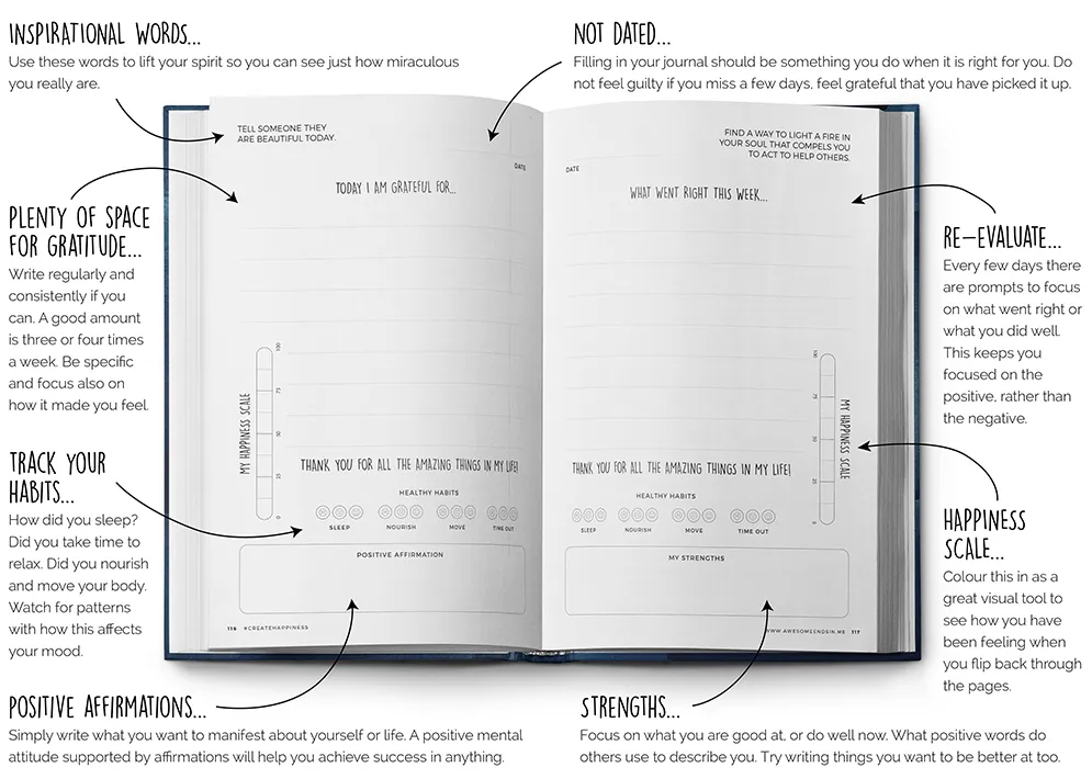 Resilient ME Gratitude Journal for Teens – Dream Big