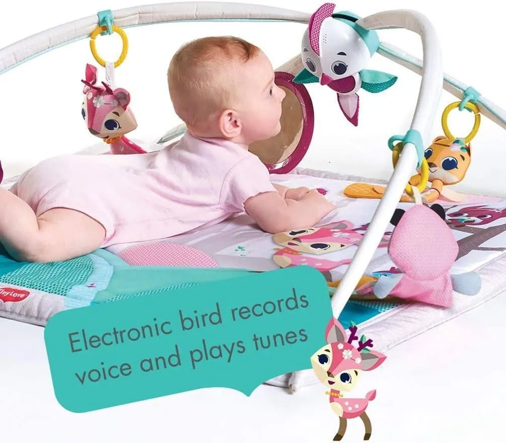 Tiny Love Gymini Deluxe, Musical Baby Play Mat and Newborn Activity Gym