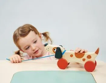 Wooden Toy Puppy On Wheels LAST ONE